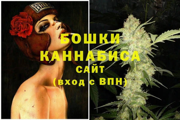 дживик Навашино