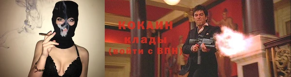 дживик Навашино