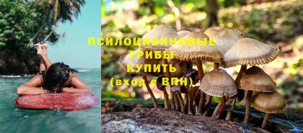 дживик Навашино