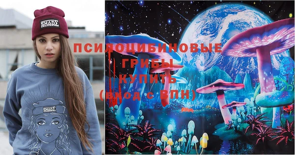 дживик Навашино