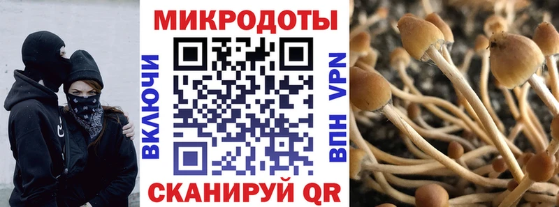 Псилоцибиновые грибы прущие грибы  мега ссылка  Всеволожск 