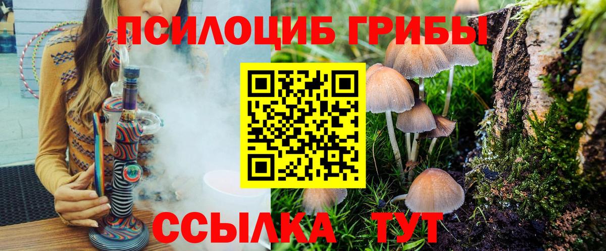 Всеволожск  Галлюциногенные грибы Psilocybe  Вход с VPN 