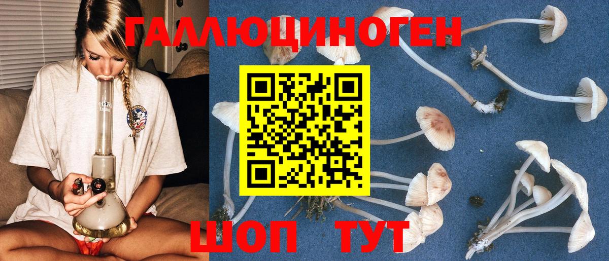 Псилоцибиновые грибы Magic Shrooms  Псилоцибиновые грибы ЛСД  Всеволожск 